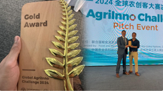 Award 1